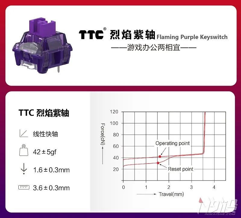 全场景适用 珂芝K75独家首发TTC烈焰紫轴