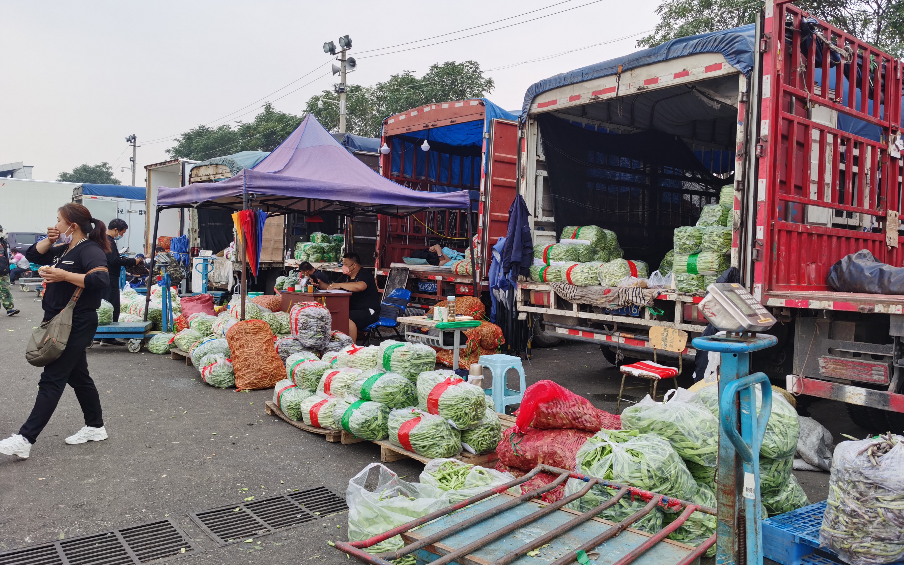 记者探访新发地，节前猪肉需求量大价格略涨