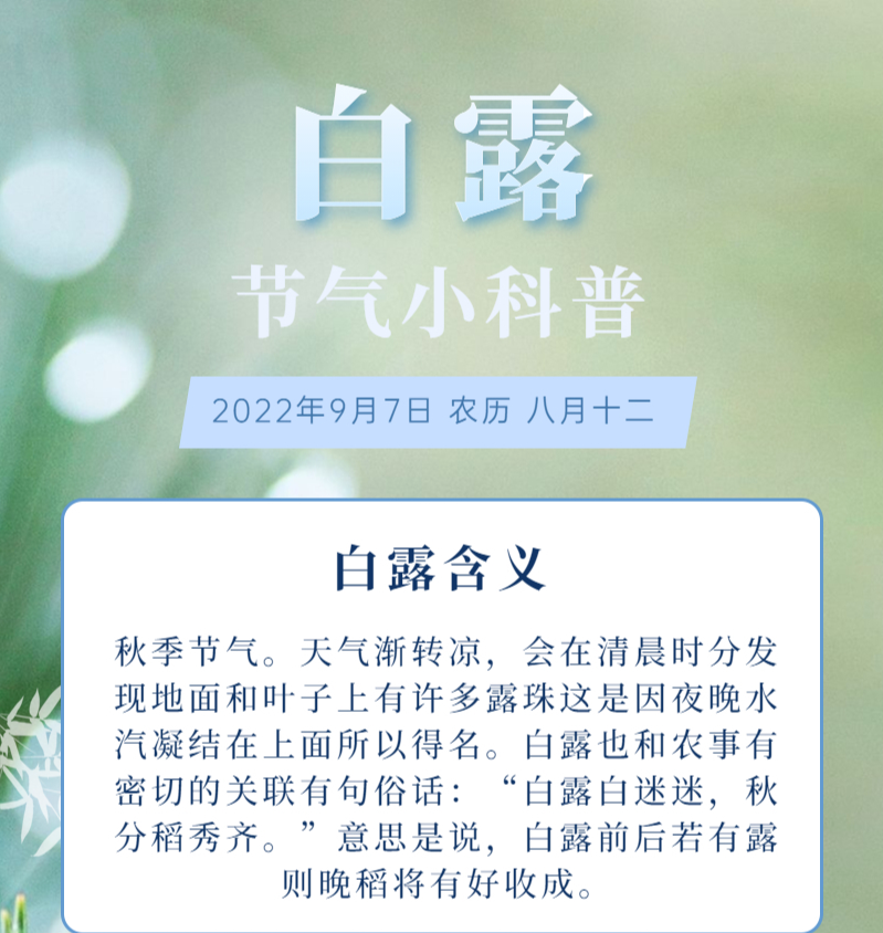 罗袜（罗袜高挑,金钗斜坠什么意思）-第3张图片-昕阳网