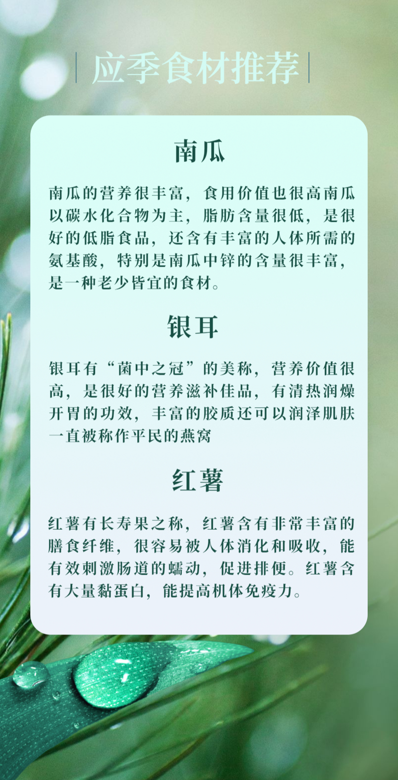 罗袜（罗袜高挑,金钗斜坠什么意思）-第8张图片-昕阳网