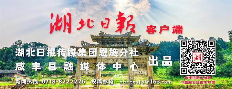 今日咸丰县仔猪价格「吉林仔猪价格今日猪价最新」