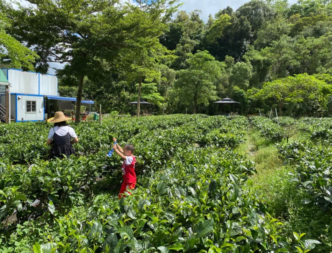 一点半到四点半几个小时(送宝妈去上班)