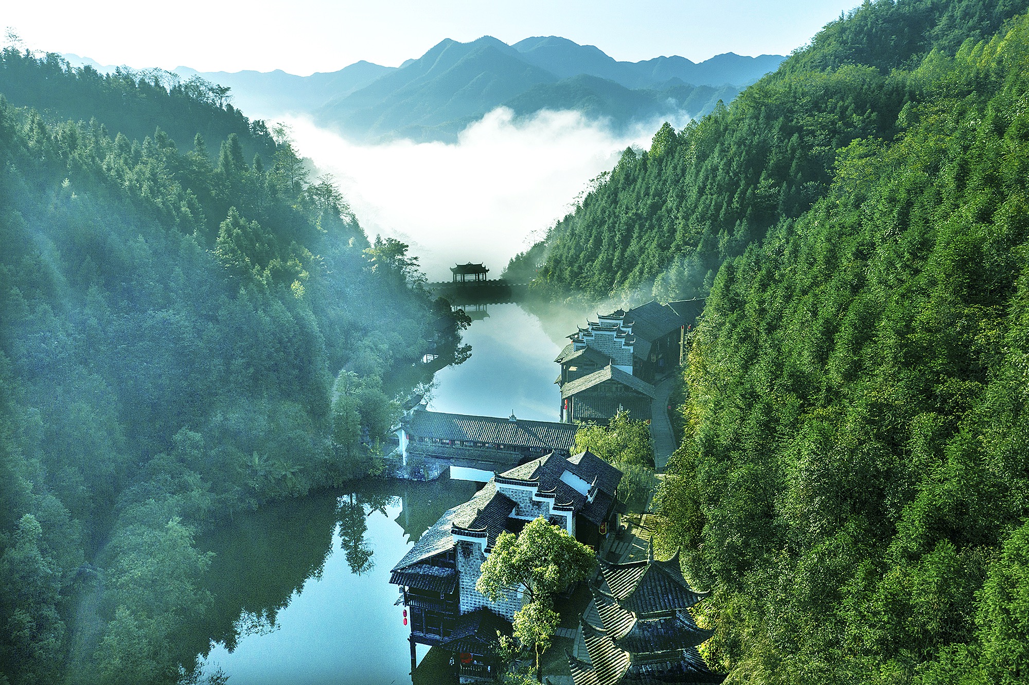 从安化茶山走出来的奥运会冠军(绘潇湘·益阳篇｜茶香盈山，辞赋满江)