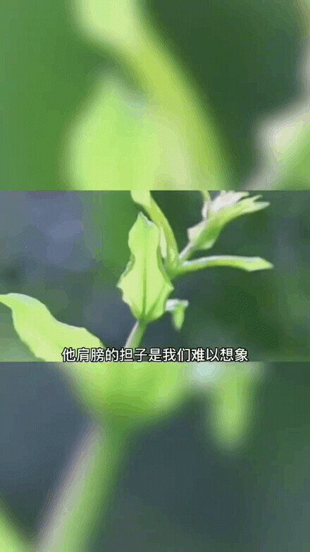 暇疵（瑕疵是什么意思）-第9张图片-华展网