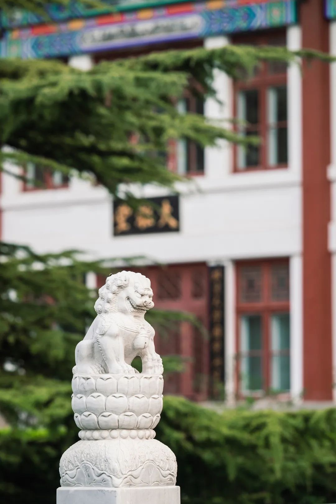北京大学2023年研究生招生简章发布