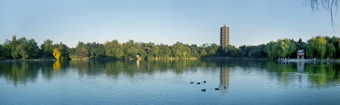 北大再创新高!从保送生到北大教授!