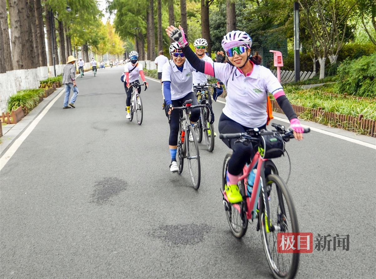 日本自行车赛车品牌(骑行热带火自行车销售，万元以上车型一车难求)