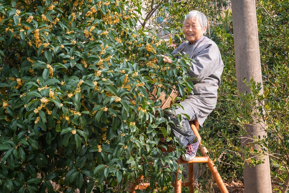 北京奥运会的举办时间是多少(二十四节气)