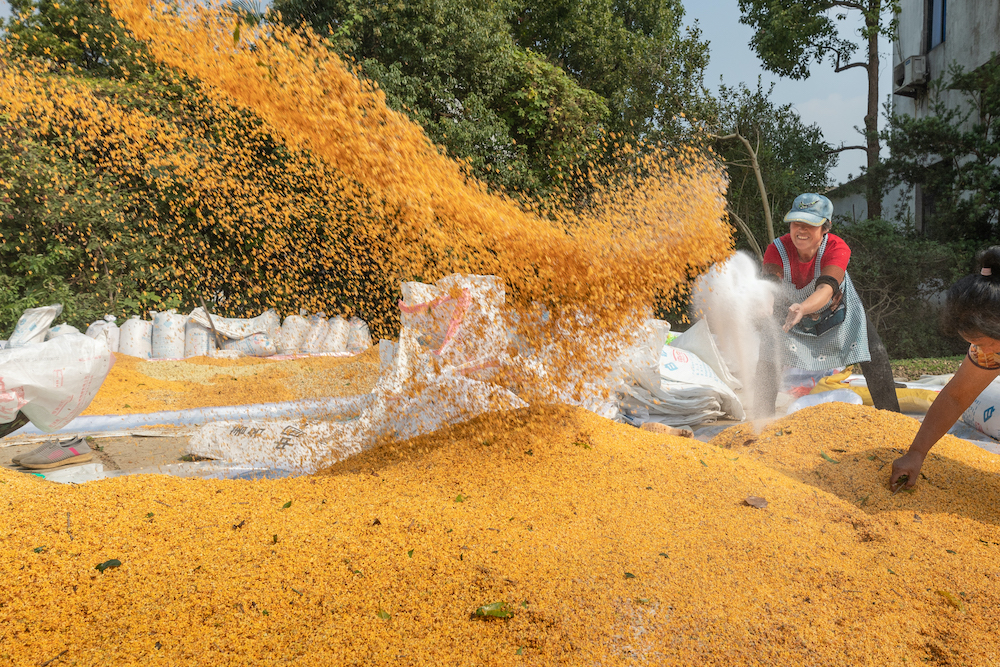 奥运会开始多久了（二十四节气）