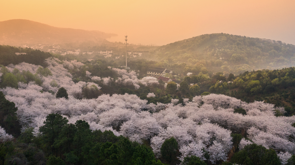 北京奥运会12周年纪念日(二十四节气)