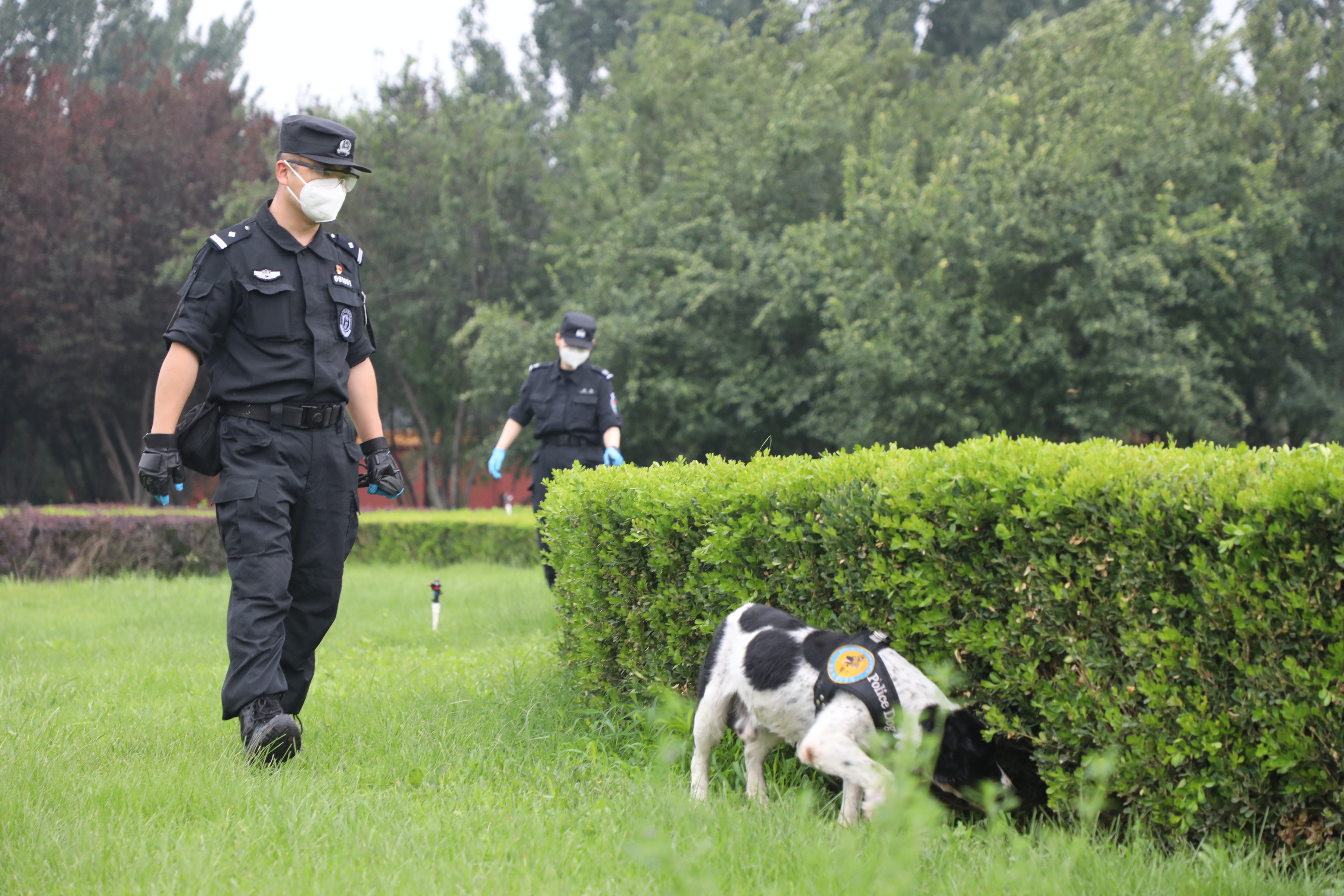 他今年个人表现非常出色(最美基层民警符世彻：“炼”出功勋搜爆犬，共同守护“第一国门”)