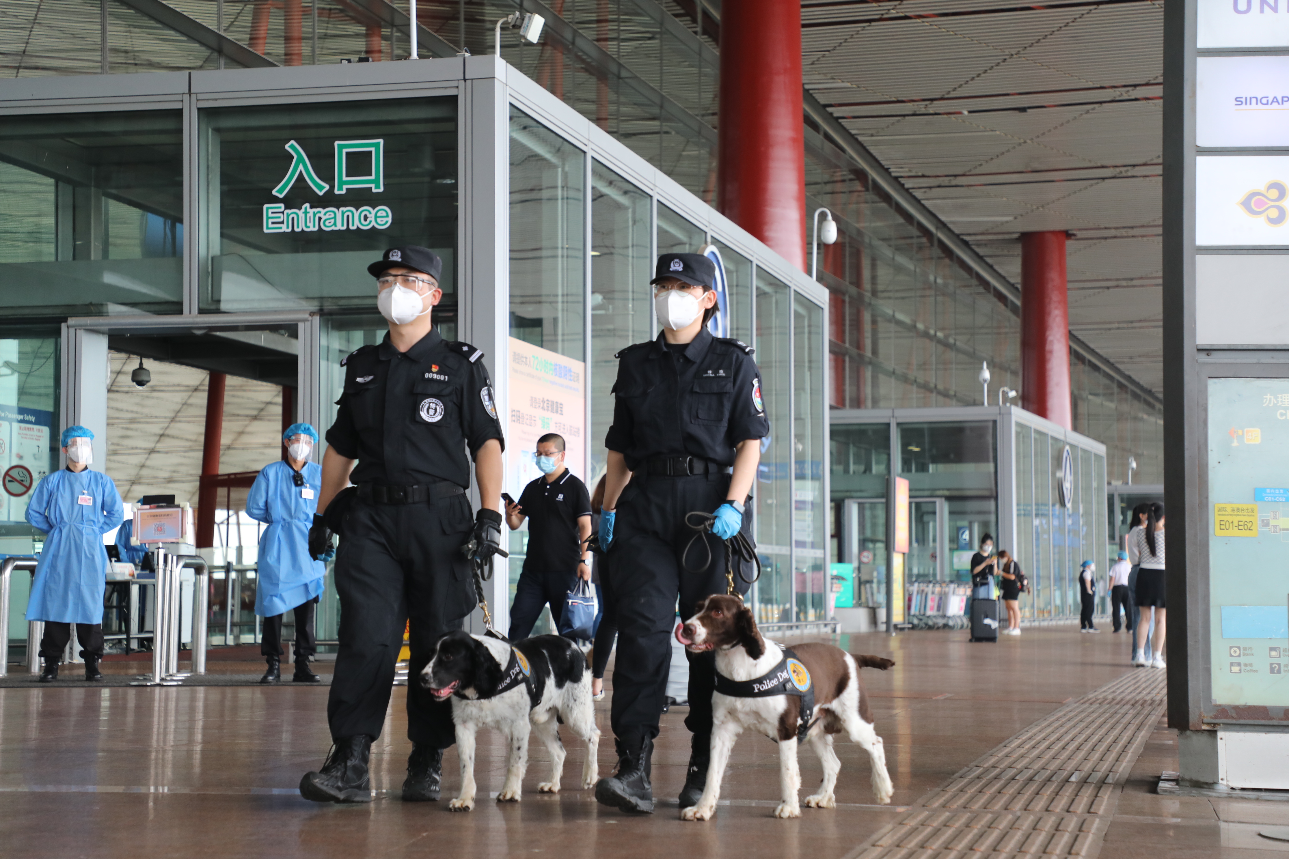 他今年个人表现非常出色(最美基层民警符世彻：“炼”出功勋搜爆犬，共同守护“第一国门”)