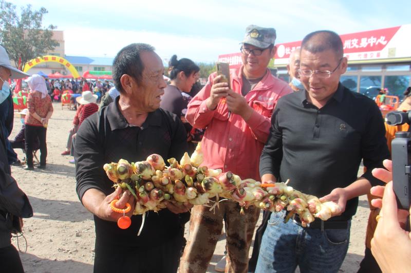 莱州百位姜农发起“姜王”争霸 最重8.24斤