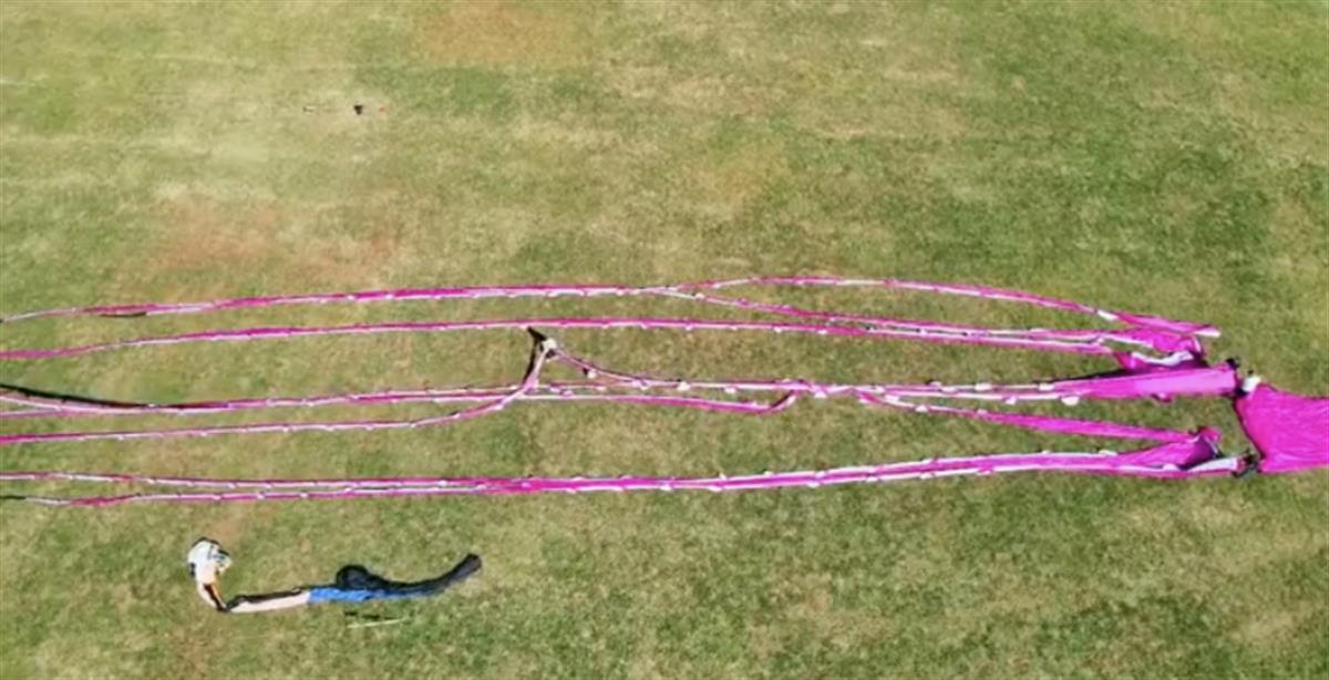 世界上最大的风筝的图片(70米长巨型章鱼风筝成功放飞，参与者：收比放更难)