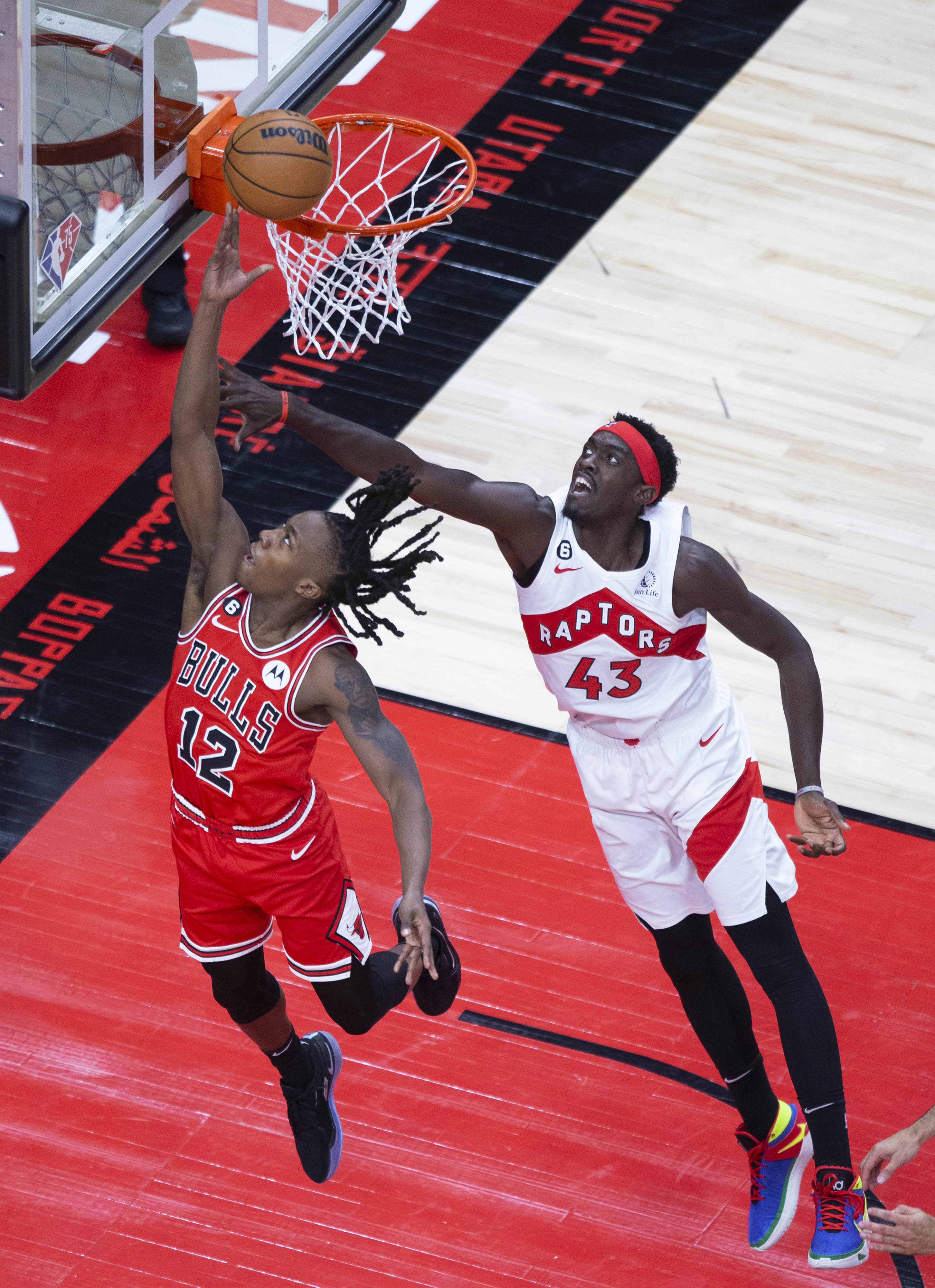 nba季前賽最新戰況（（體育）籃球-NBA季前賽：公牛勝猛龍）