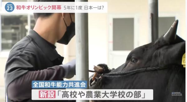 日本奥运会参赛国有哪些（每五年举行一次，日本“和牛奥运会”选出“第一牛”）-趣拿体育