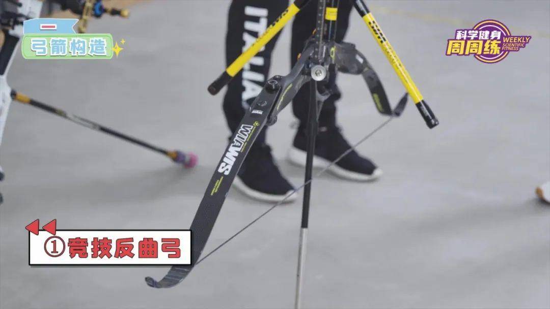 奧運比賽用的弓箭（科學健身周周練丨蓄勢挽弓 落箭精彩）