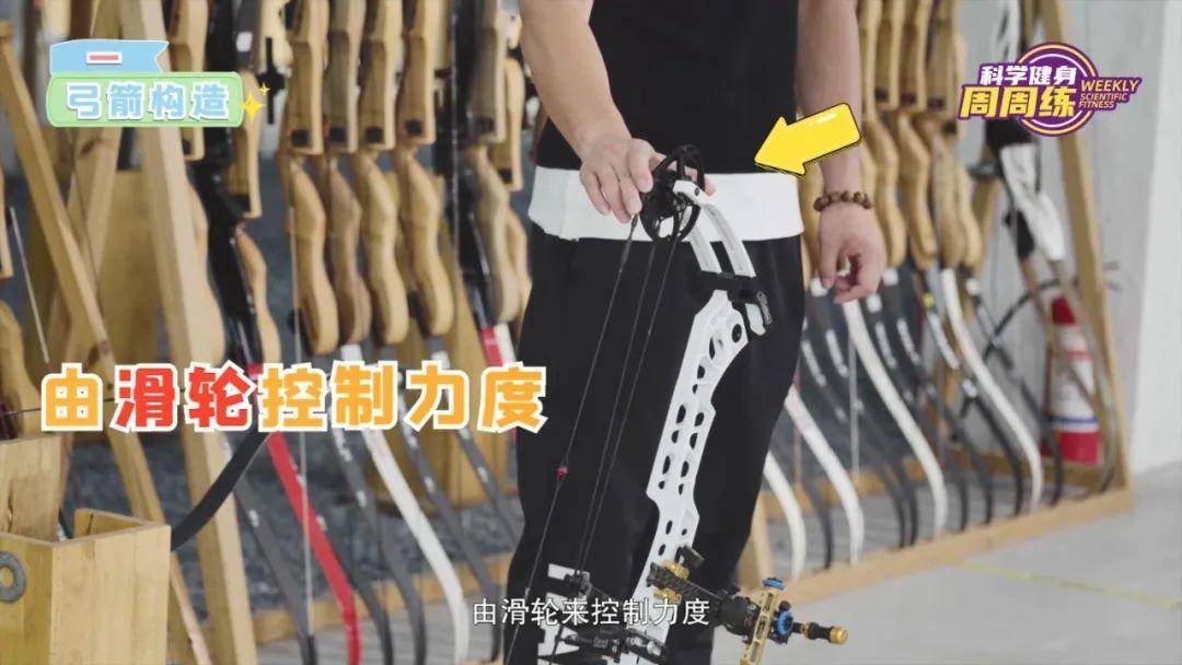 奧運比賽用的弓箭（科學健身周周練丨蓄勢挽弓 落箭精彩）
