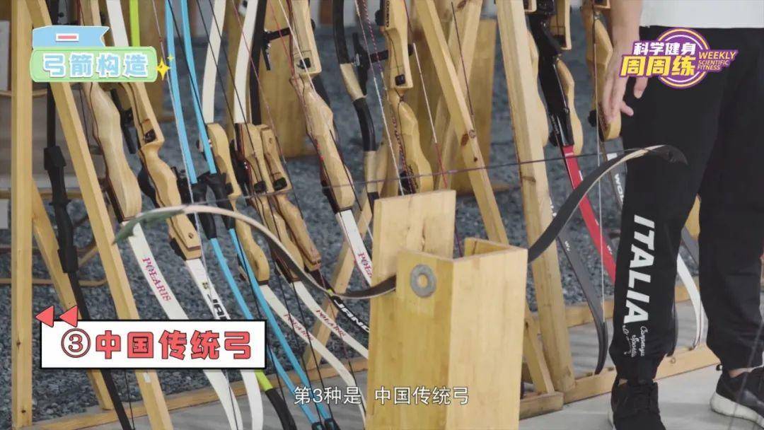 奧運比賽用的弓箭（科學健身周周練丨蓄勢挽弓 落箭精彩）