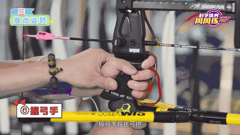 奧運比賽用的弓箭（科學健身周周練丨蓄勢挽弓 落箭精彩）