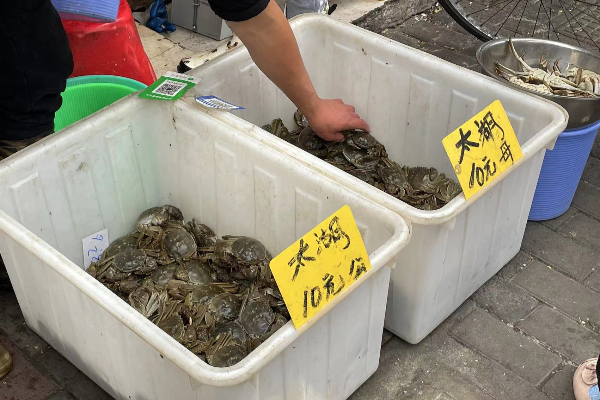 阳澄湖螃蟹价格今日价，阳澄湖螃蟹价格今日价