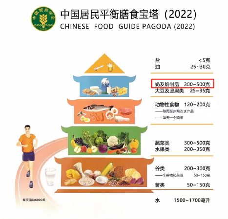 牛奶一天喝多少最好（一天内牛奶的最佳摄入量）