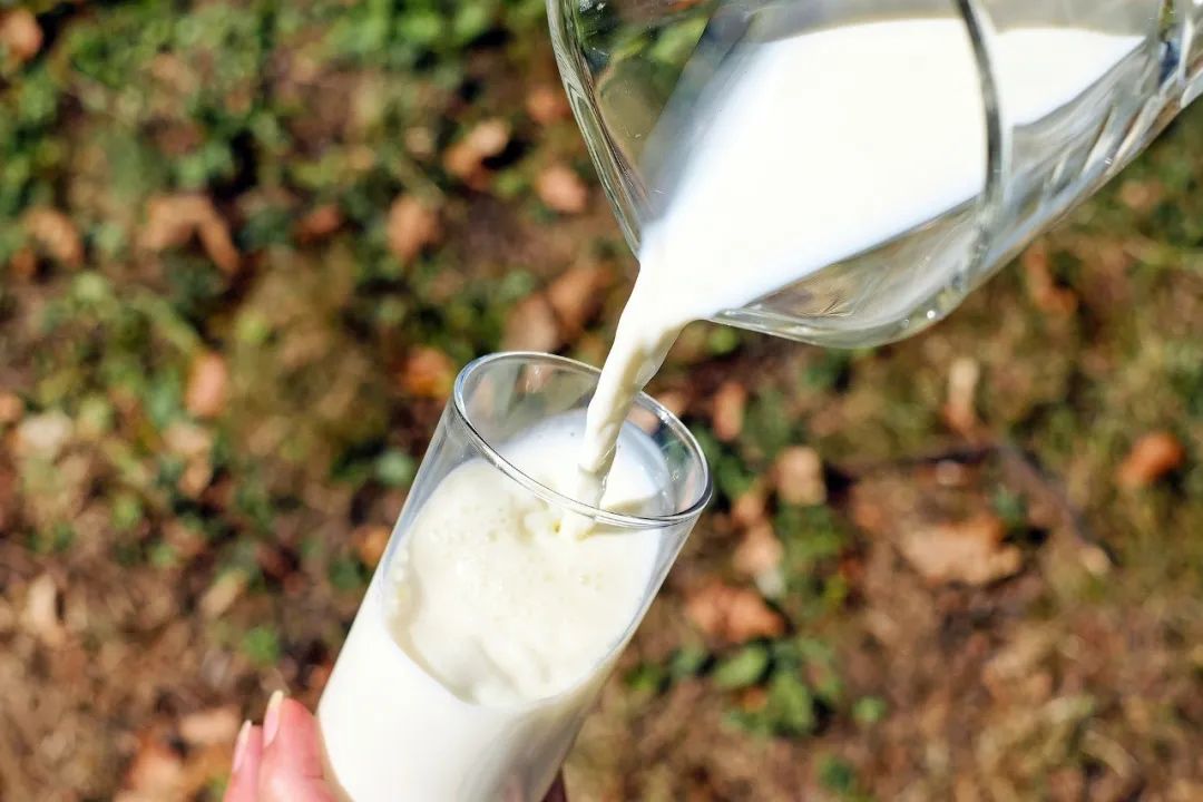 牛奶一天喝多少最好（一天内牛奶的最佳摄入量）