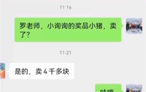 养了9个月卖了4000块！堪称“含金量最高的奖励”