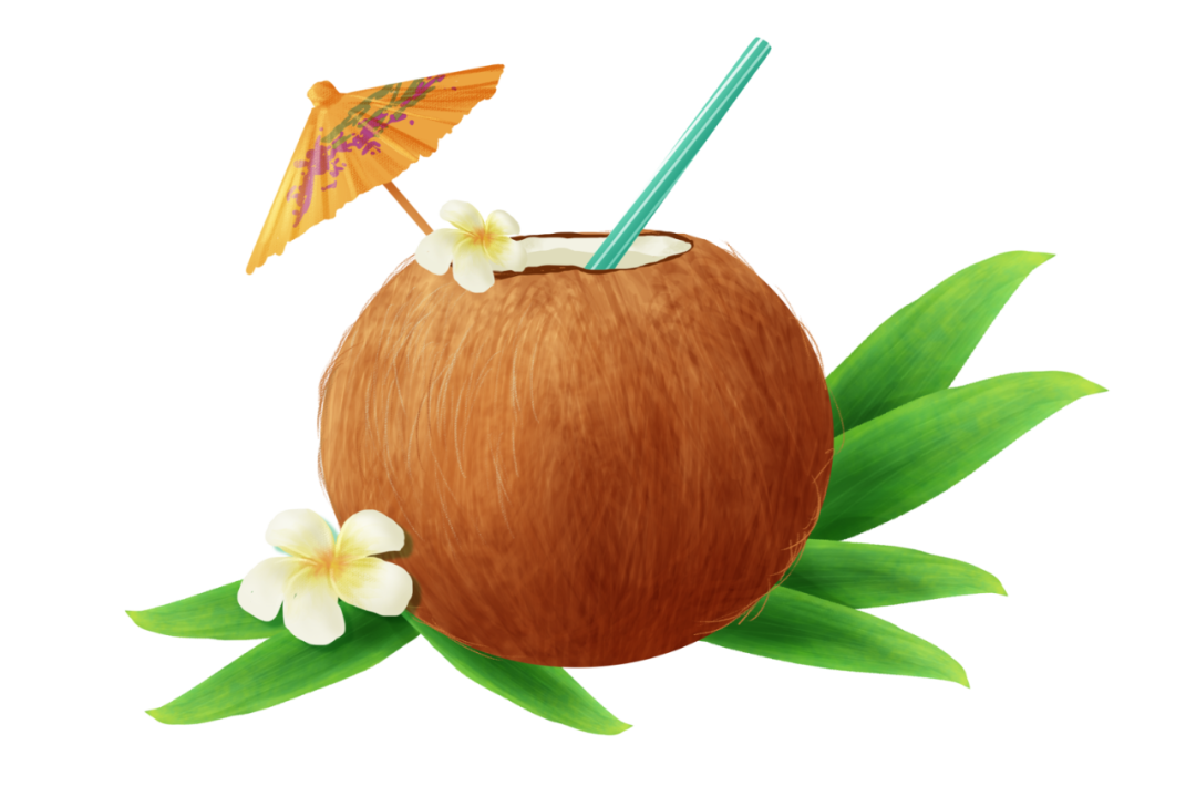 椰子饮料哪个品牌好喝（椰子产品种类多营养成分也有差异）