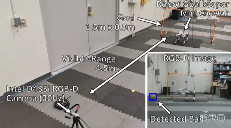 足球狗图片卡通图片(机器狗“成精”了！做足球守门员，拦截成功率比人类高18.5%)
