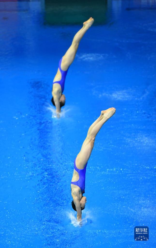 中国跳水队历届奥运会项目冠军（中国跳水队包揽世界杯8个奥运项目冠军！上海小囡陈芋汐刷新个人最高分）