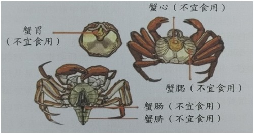 螃蟹不能和什么一起吃 牛奶不能和什么食物一起吃-文化号
