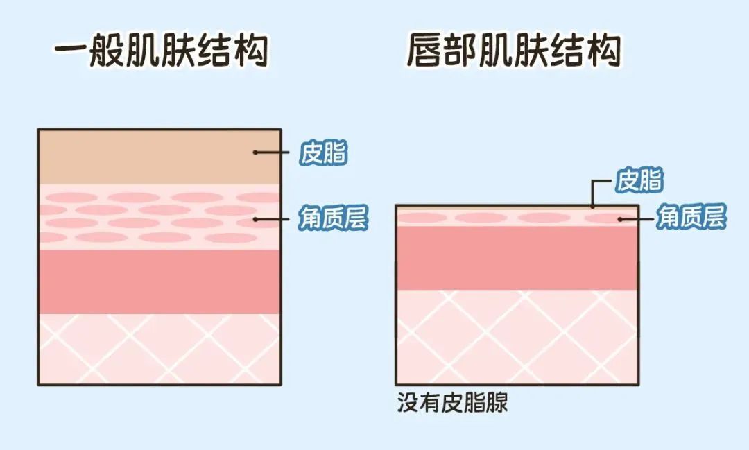 润唇膏竟然越涂越干？挑选和涂抹都有大“学问”！快来学习→