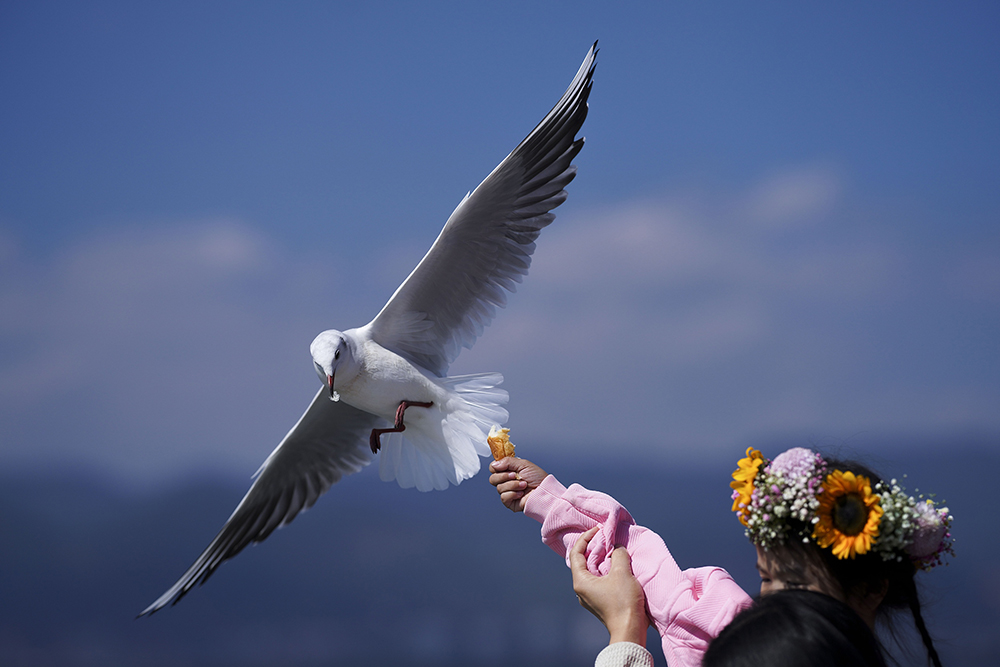 北京马拉松新纪录（一周图片｜北京马拉松三年后“重启”，86岁大爷刷屏网络）