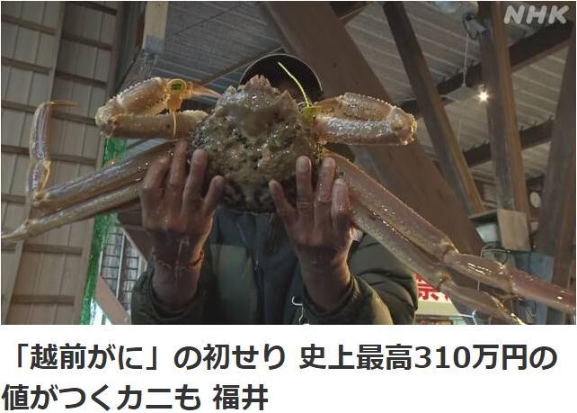 一只螃蟹15万元！日本这种螃蟹拍出创纪录价格
