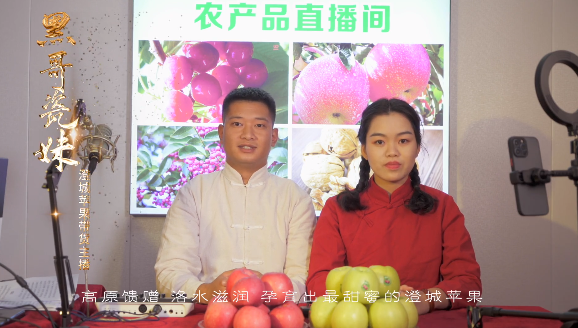陕西澄城县苹果今日行情价格「澄城县苹果种植面积」