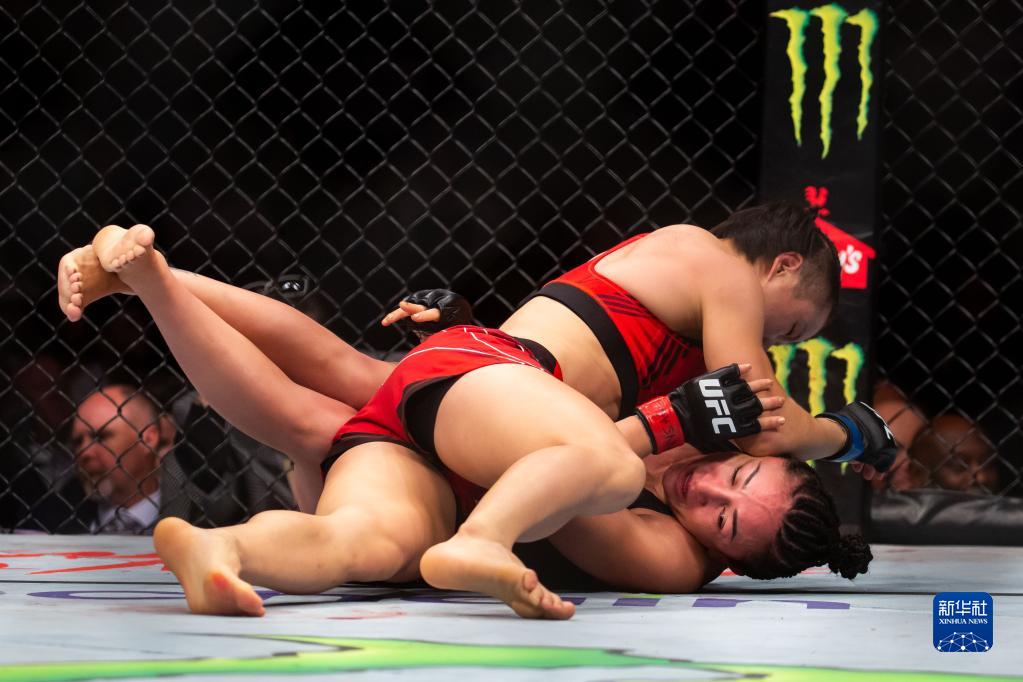 ufc各量级现役冠军（搏击-UFC281：张伟丽重夺金腰带）