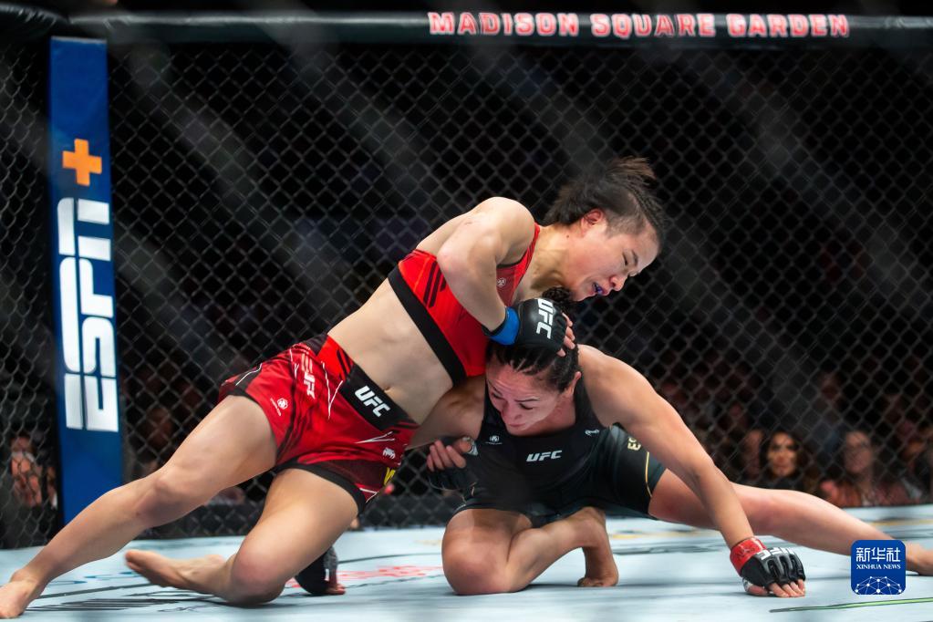 ufc各量级现役冠军（搏击-UFC281：张伟丽重夺金腰带）