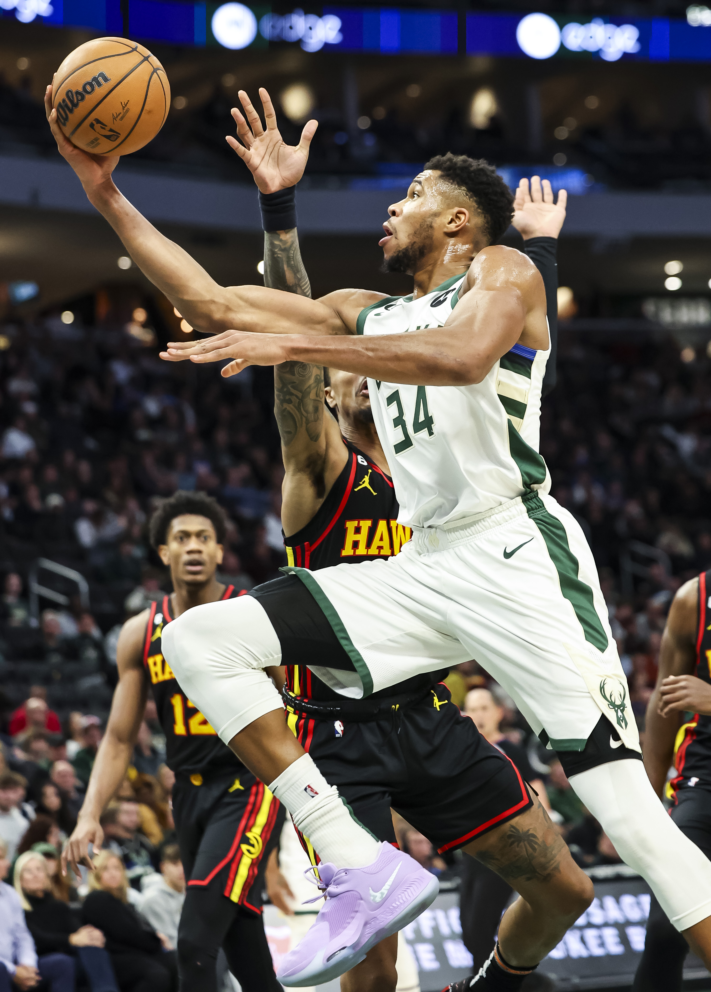 亚特兰大老鹰队图片((体育)篮球——nba常规赛:老鹰胜雄鹿)_ 黑土直播