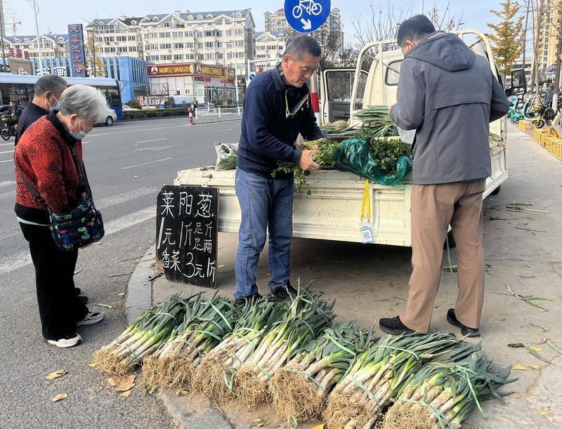 冬储大葱又降价了，今冬葱姜蒜价格都十分亲民