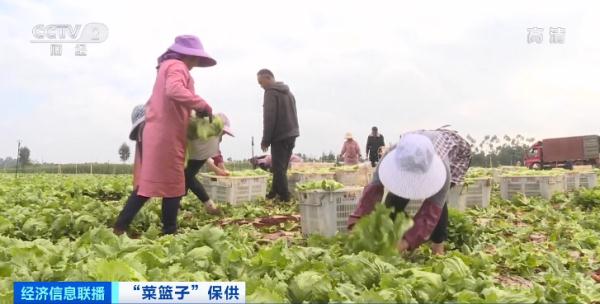 蔬菜行情今日价格表（武汉蔬菜价格表今日价格）