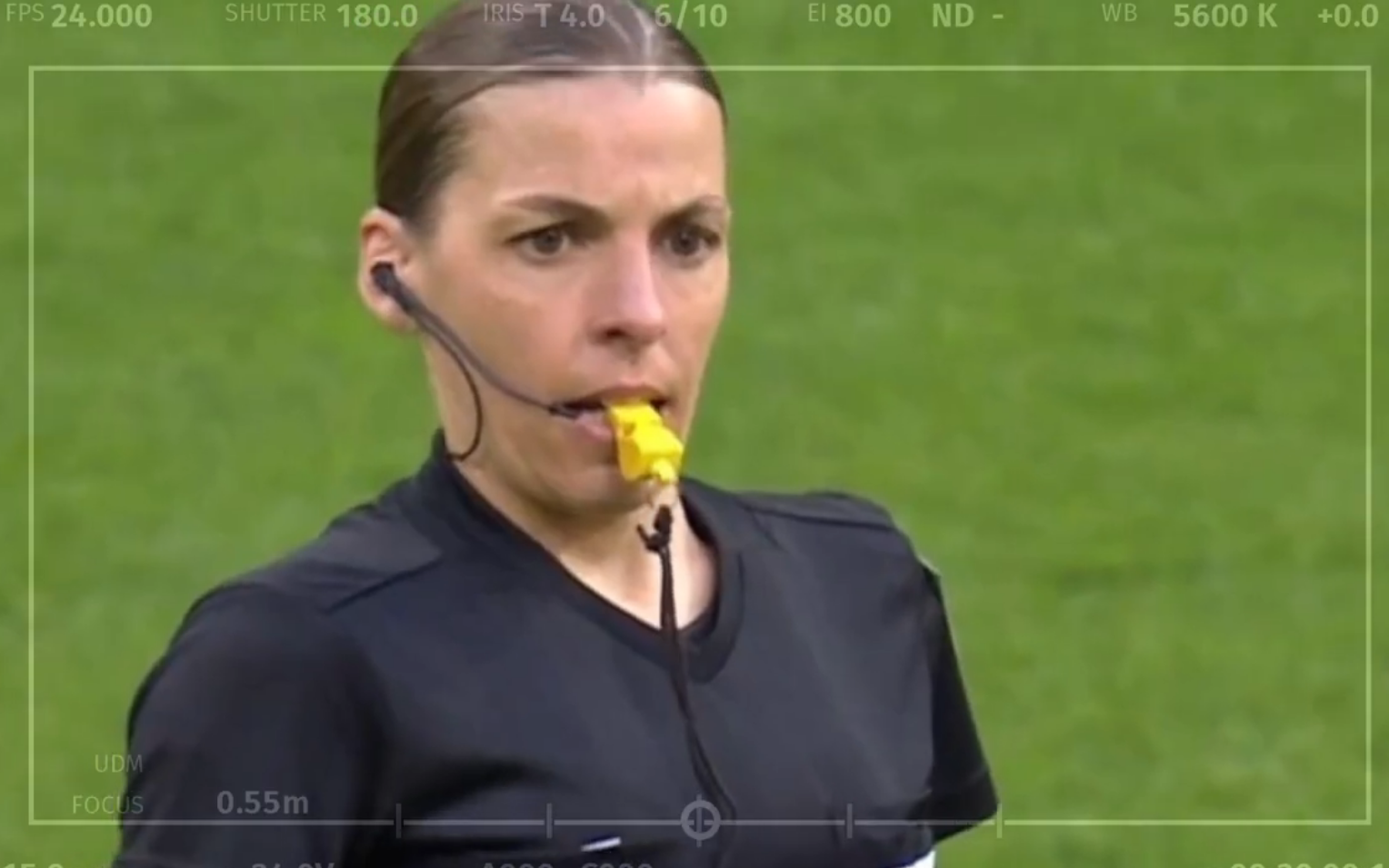 世界杯美女裁判（6名女裁判将亮相卡塔尔世界杯，她们的每一步都在创造历史）-趣拿体育