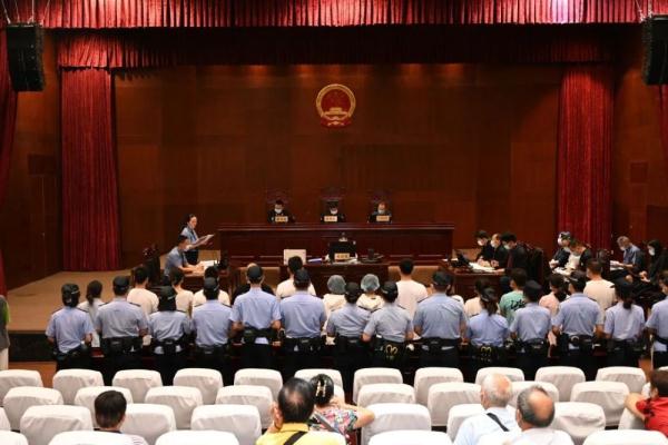 迷你世界杯沟通法庭直播回放（假冒藏品翻十倍价格出售 逾6900万的涉老诈骗案判了）-华海博客