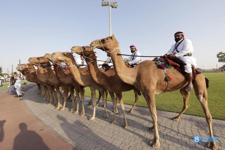 申办奥运会国家有哪些（新目标！卡塔尔计划申办2036年奥运会，冬季办夏奥不是问题）-趣拿体育