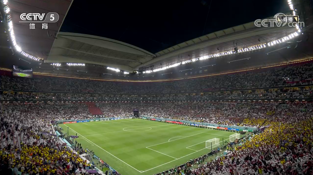 2022年足球世界杯在哪里举行（世界杯，开幕！网友：“我的DNA又动了！”）