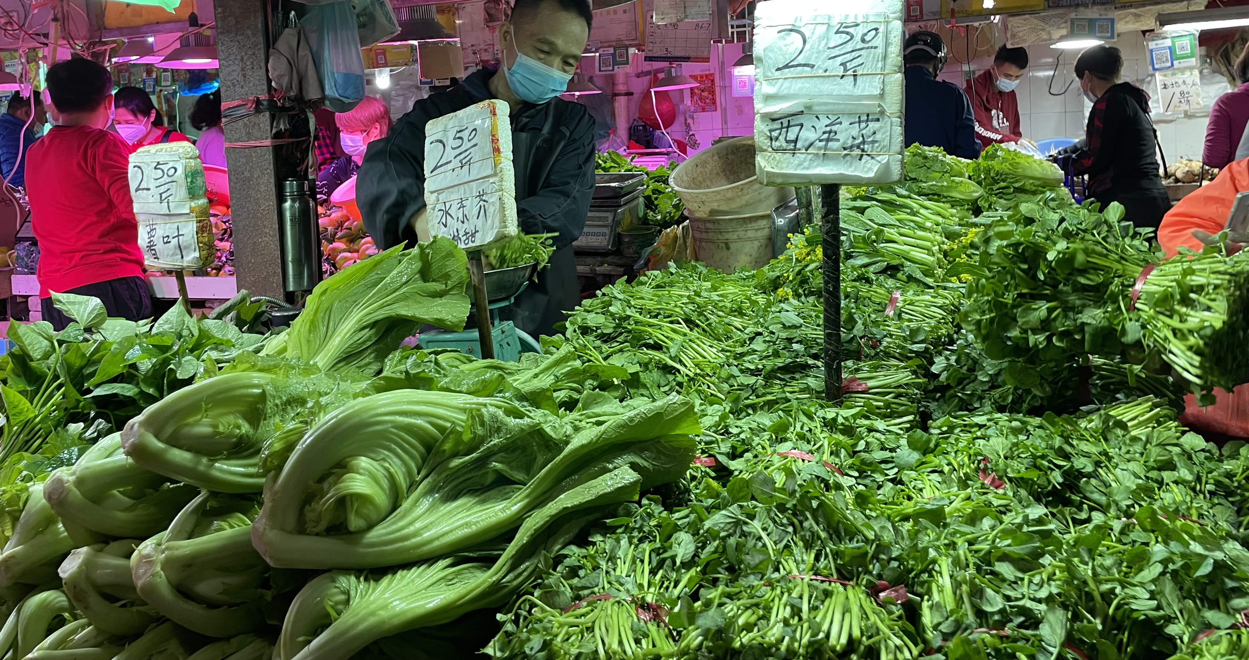 水果方面,本期江南市场水果交易有所复苏,水果综合平均价为13.