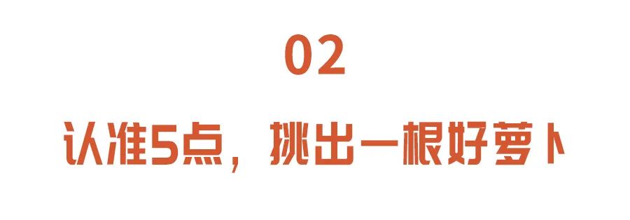 萝卜叶的功效与作用（详解萝卜叶的食疗功效）