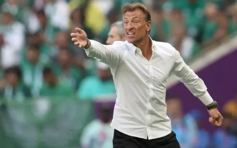 世界杯26号球员绅士动作视频（世界杯主教练们是哲学家也是魔法师 - 新京报快评）