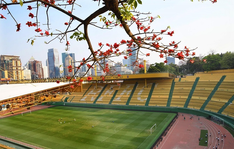 广东电视台英超（世界杯专题 - 全国最爱看球的省份，在这里）