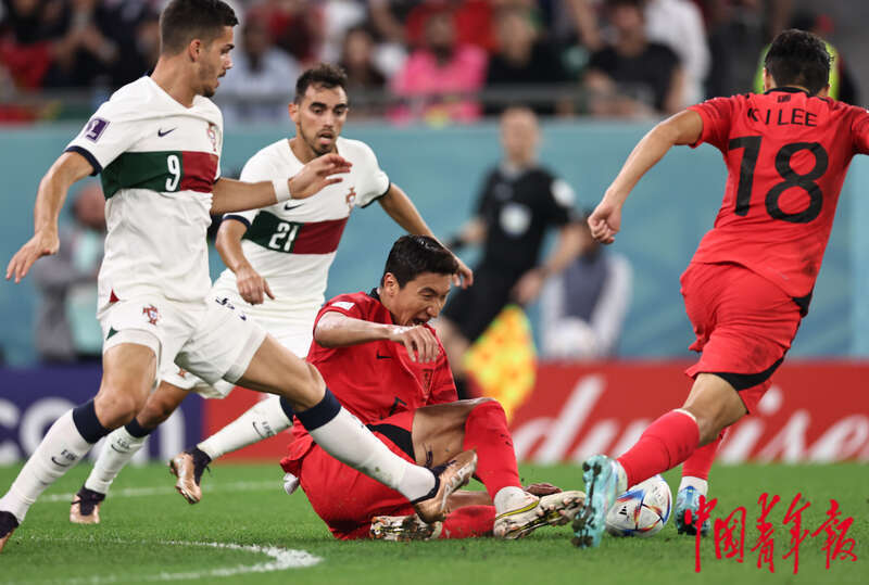 多图回顾：韩国队2比1逆转葡萄牙 双方携手进入16强